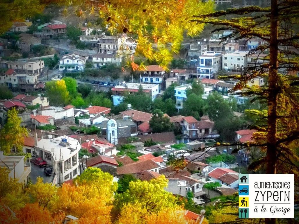 Isminis Petroktisto Holidays Stonehouse Palechori Exteriér fotografie