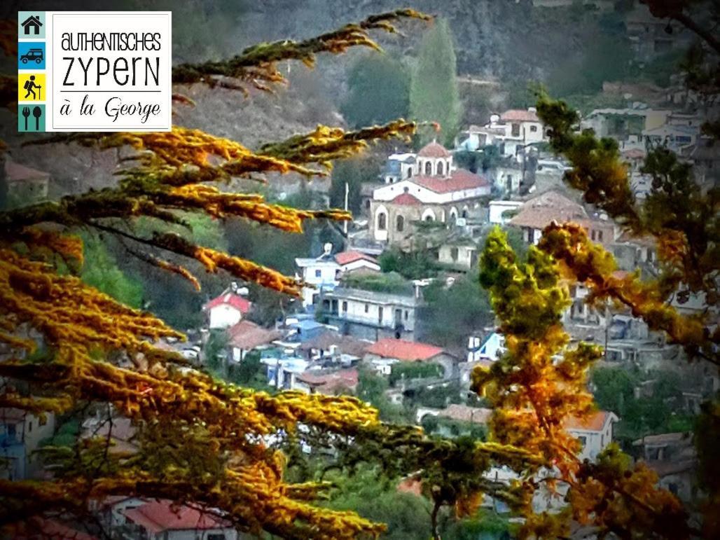 Isminis Petroktisto Holidays Stonehouse Palechori Exteriér fotografie