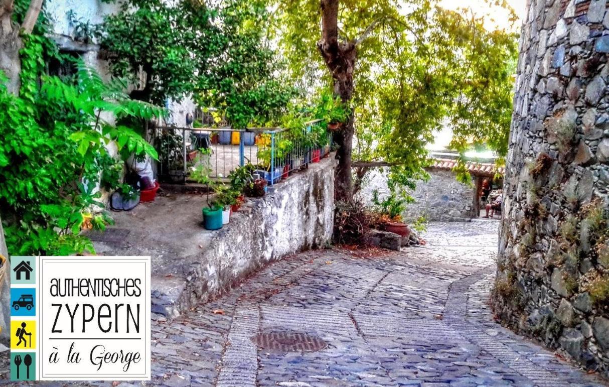 Isminis Petroktisto Holidays Stonehouse Palechori Exteriér fotografie